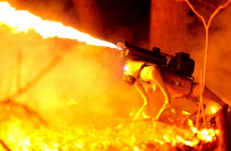 Hell Hound: ‘Thermonator’ Robot Dog Comes Equipped With Flamethrower – ‘Man’s Best Friend’ or Another Terrible Idea?